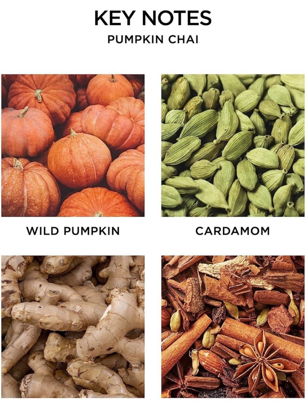 NEST New York Pumpkin Chai Liquid Soap 300ML • Brand New - Picture 2 of 2